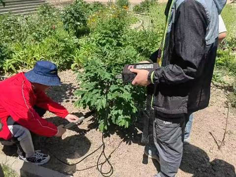 樹林前的花園里站著人低可信度描述已自動生成